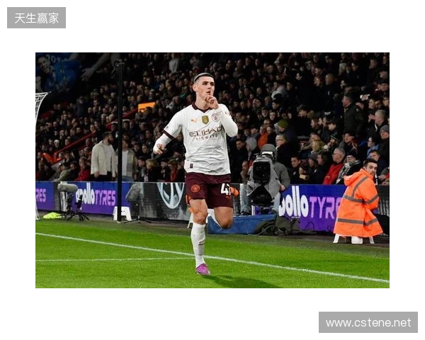 英超第15轮最佳球员候选：谢尔基、B费、福登、西蒙斯在列