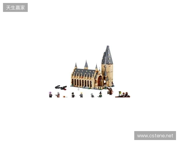 安东内拉：爱拼霍格沃茨城堡，家里有类似博物馆空间放乐高